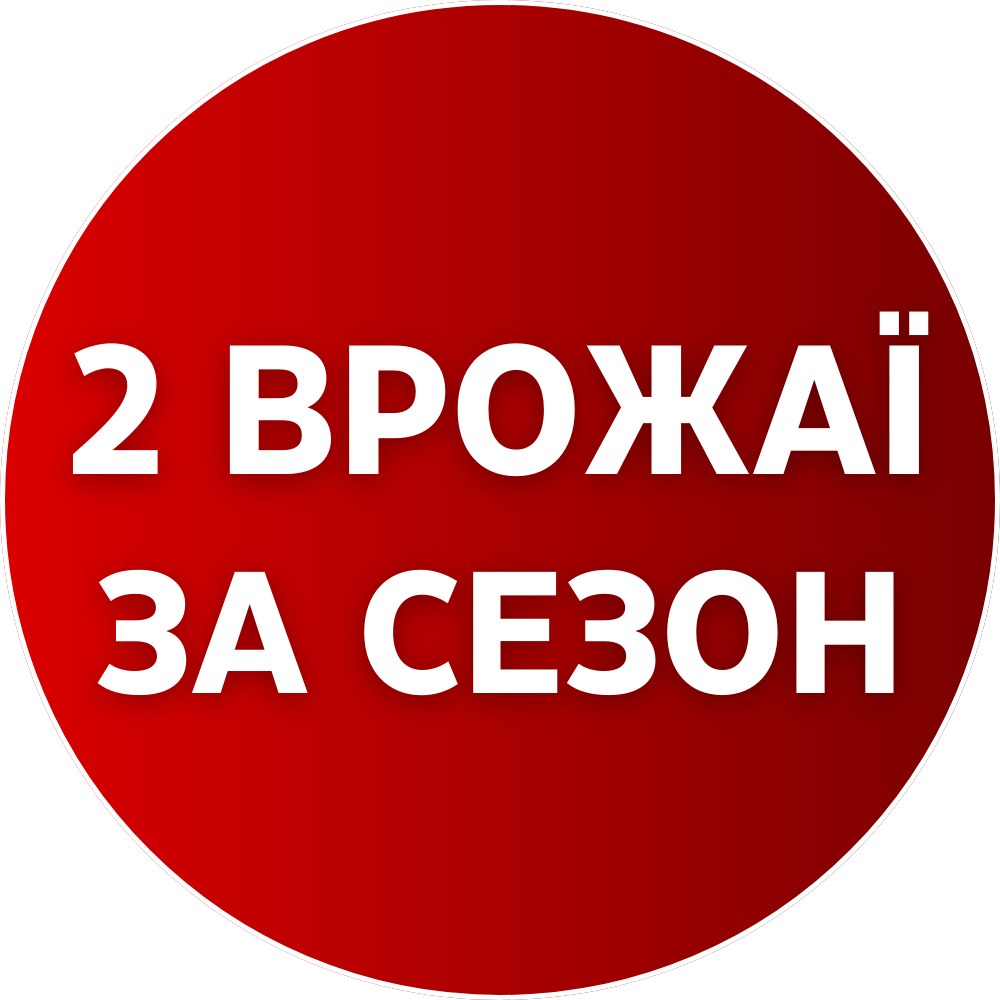 Image title