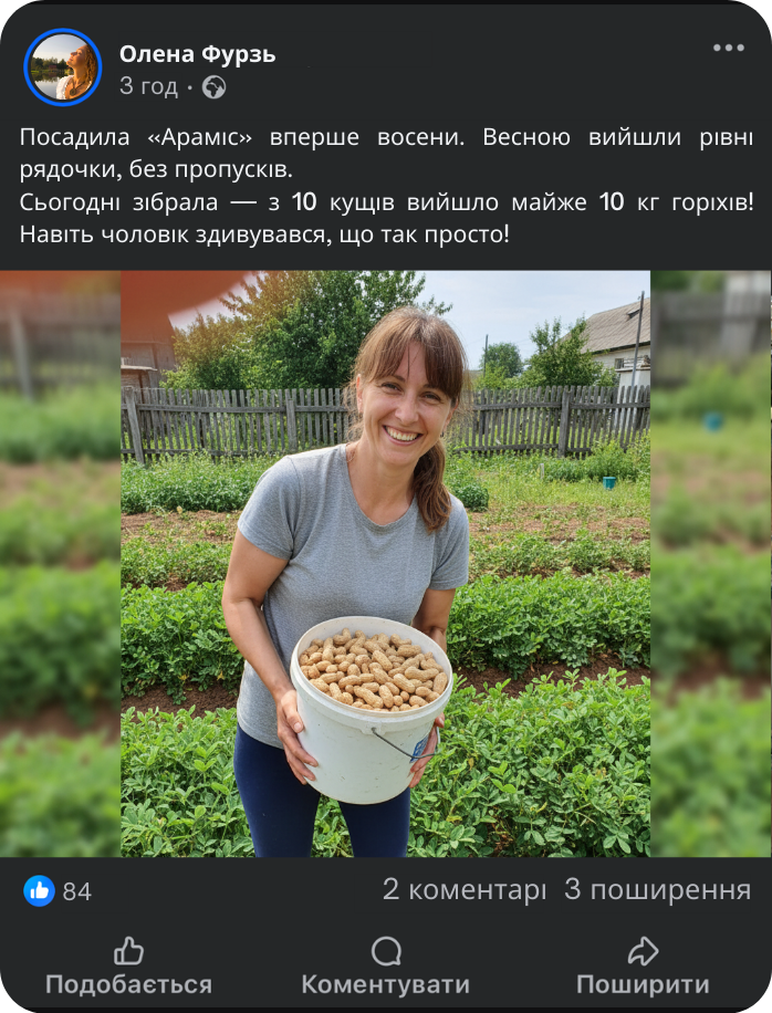 Заголовок